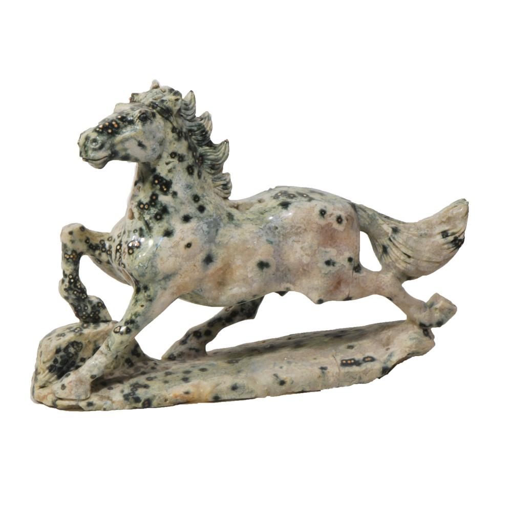 Cavallo Diaspro Oceanico