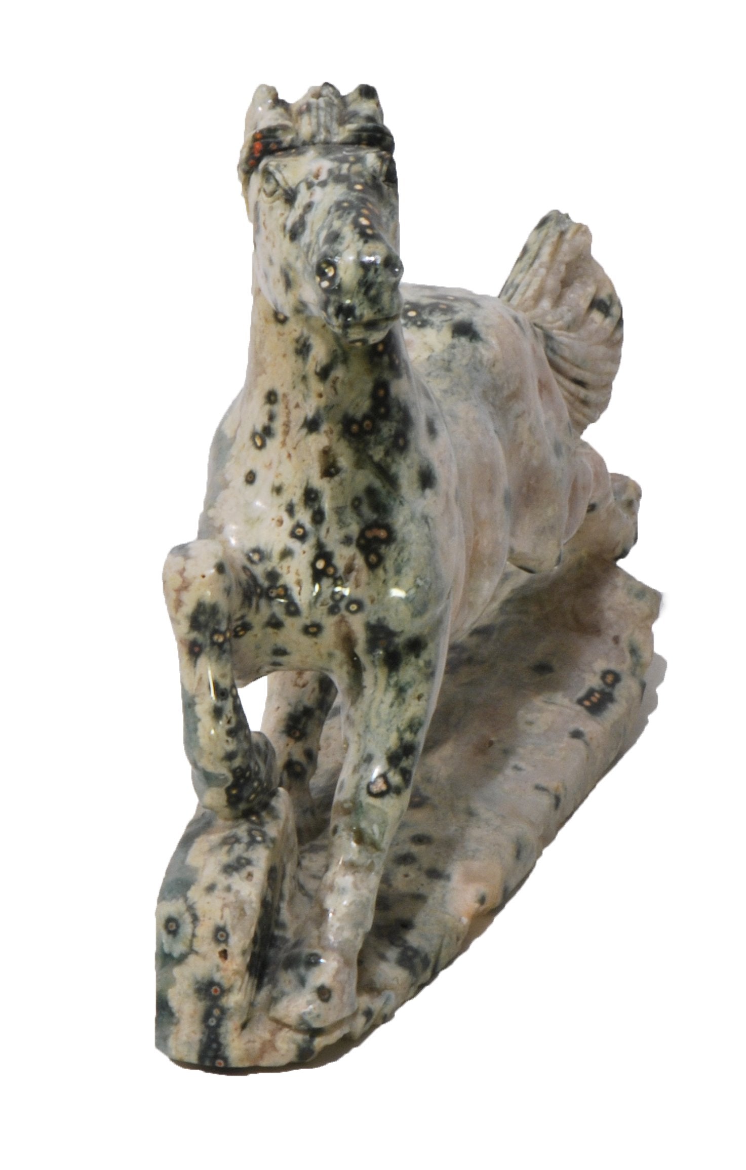 Cavallo Diaspro Oceanico