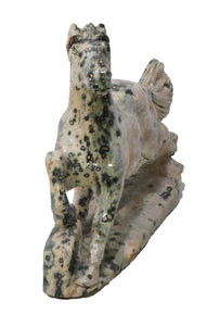 Cavallo Diaspro Oceanico