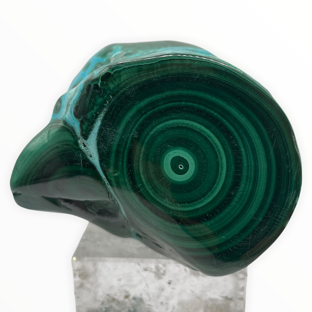 Stalattite Crisocolla e Malachite