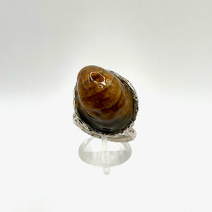 Anello Ammonite