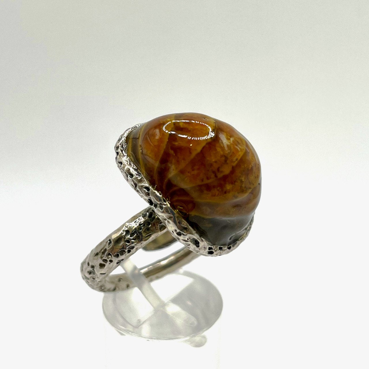 Anello Ammonite