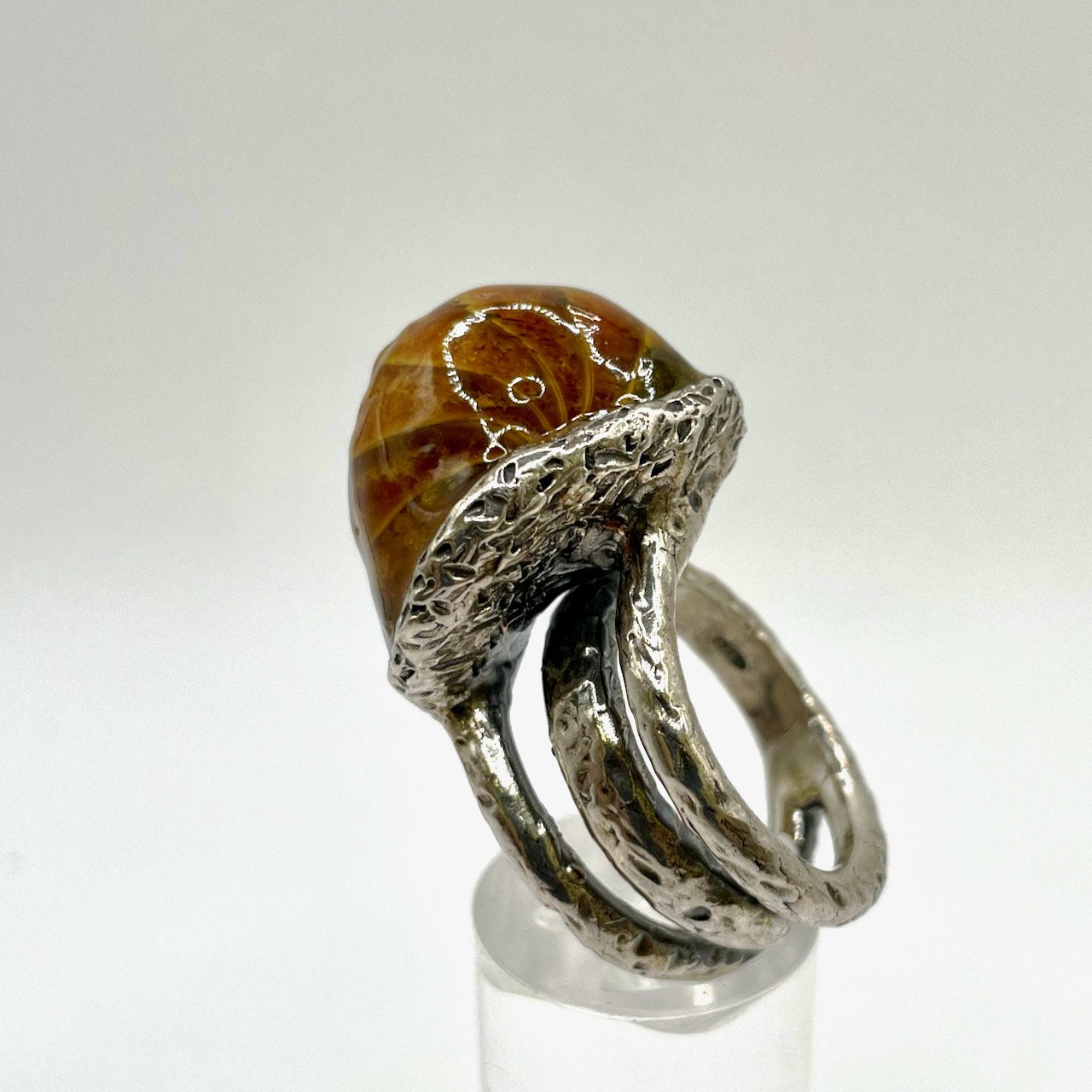 Anello Ammonite